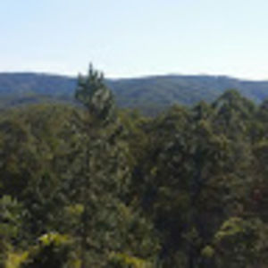 Meet your Posher, Caleb